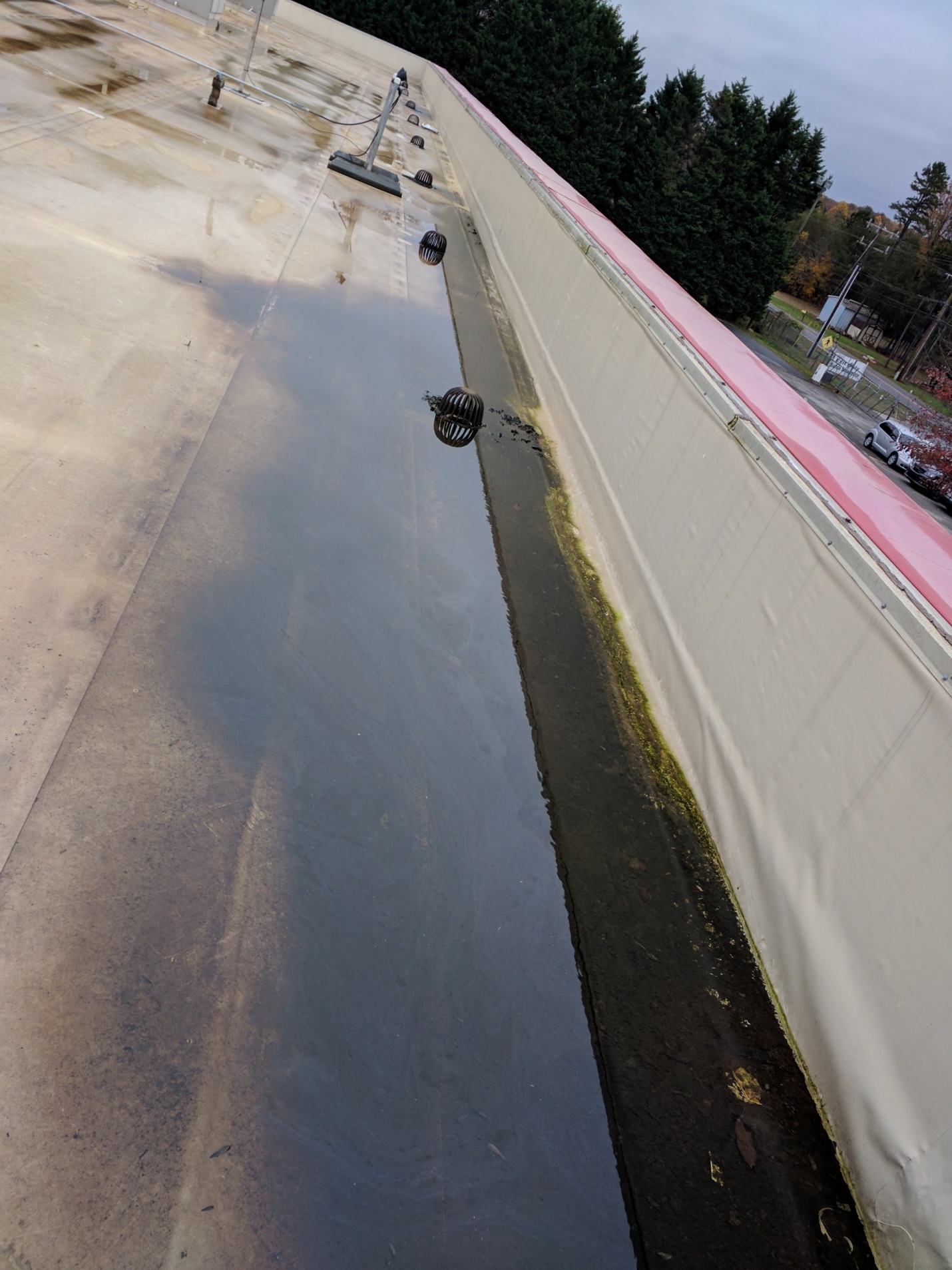 Ponding-water-on-roof-due-to-clogged-drain